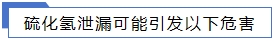 1706152705535744.jpg 硫化氫.jpg